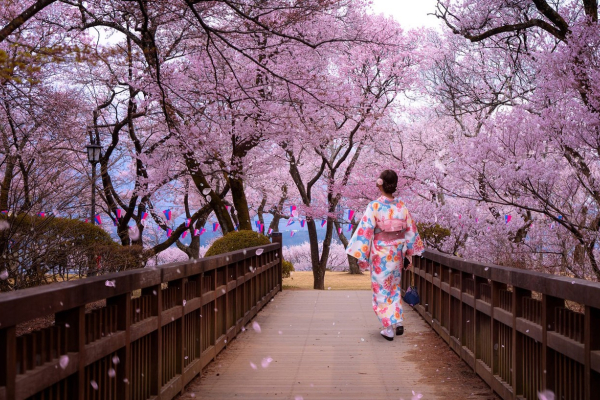 06.04.2026 - 14.04.2026<br>Япония в сакуре: авторский тур