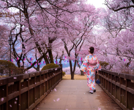 06.04.2026 - 14.04.2026<br>Япония в сакуре: авторский тур